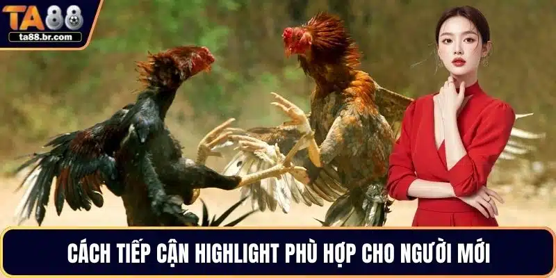 Cách tiếp cận highlight phù hợp cho người mới