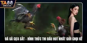 Đá gà cựa sắt