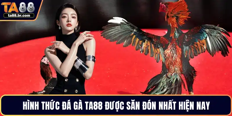 Hình thức đá gà TA88 được săn đón nhất hiện nay