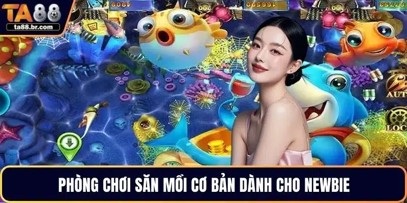 Phòng chơi săn mồi cơ bản dành cho newbie