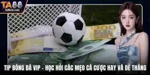 Tip bóng đá VIP