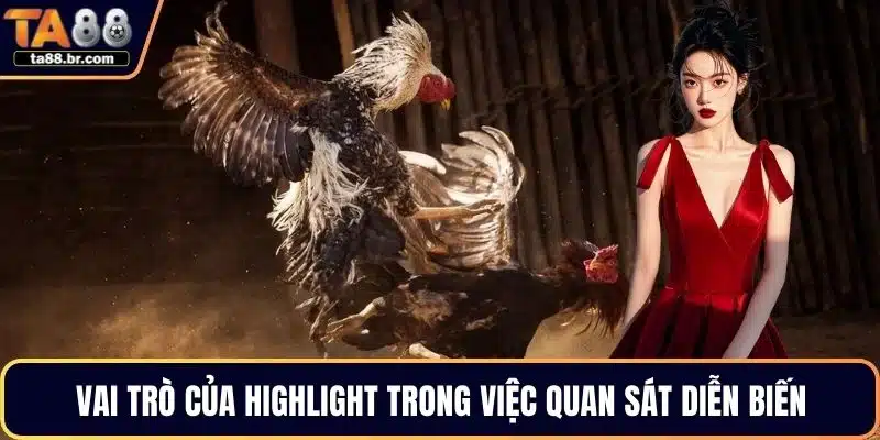 Vai trò của highlight trong việc quan sát diễn biến